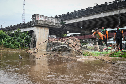 Foto: Pemprov DKI Siapkan Tim Khusus untuk Atasi Ikan Sapu-Sapu