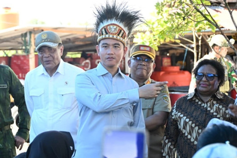 Dampingi Wapres Gibran ke Tanah Papua, Wamendagri Ribka Beberkan Progres DOB