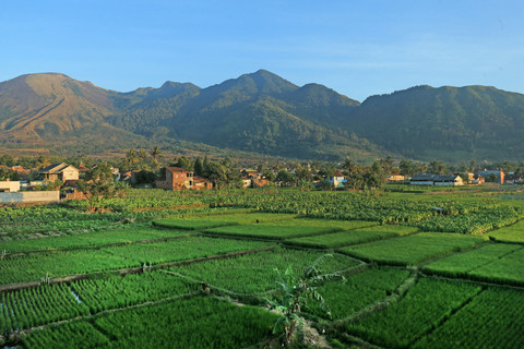 Puncak dan Surakarta Jadi Destinasi Favorit Buat Libur Panjang Akhir Pekan