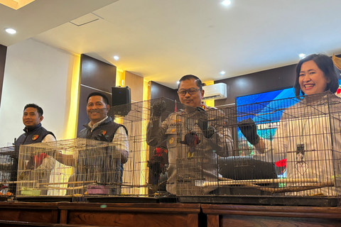 Polda Jateng Gagalkan Penyelundupan Burung Kasturi, 3 Nelayan Jadi Tersangka
