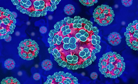 WHO Akui Ada Penularan Hantavirus Antar-Manusia