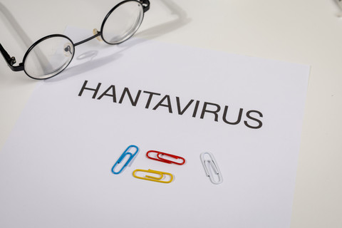 Kronologi Perjalanan WNA di Jakarta Kontak Erat Hantavirus di Kapal MV Hondius