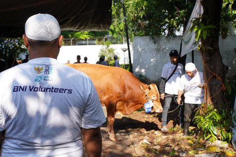 BNI Distribusikan 1.200 Hewan Kurban ke Berbagai Daerah di Indonesia