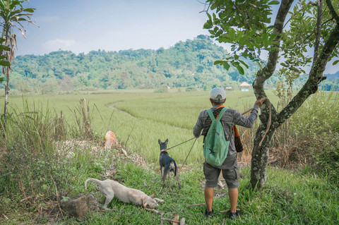 Foto: Berburu Babi di Hutan Bogor