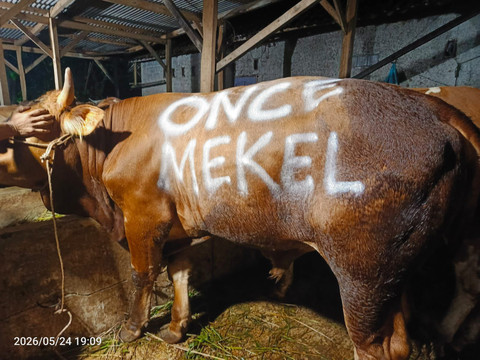 Once Mekel Berkurban 27 Hewan di Momen Idul Adha Tahun Ini