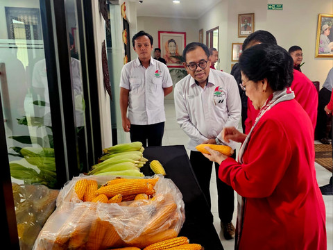 Megawati Terima Hasil Panen Raya Jagung GNTI, Simbol Ketahanan Pangan Nasional