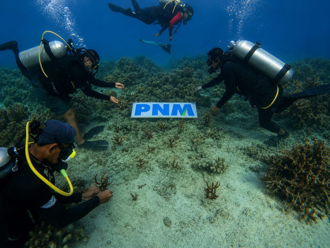 Upaya PNM Hadirkan Masa Depan Lebih Baik bagi Anak-anak Mela