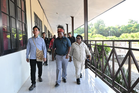 Wamendagri Ribka: Hilirisasi Kakao Bukti Dana Otsus Papua Berhasil