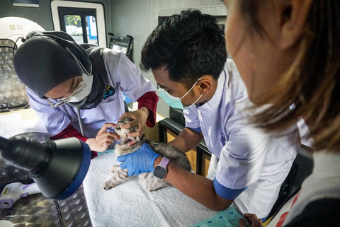 Foto: Periksa Anabul ke Klinik Hewan Keliling demi Cegah Rabies