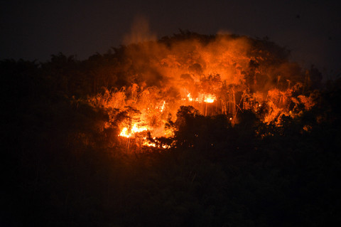 Api Membakar Hutan Gunung Jati Bandung: Kronologi dan Upaya Pemadaman Terbaru