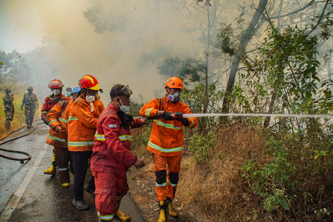 Padamkan Kobaran Api Bromo, Relawan Suraji Luka Bakar 49 Persen-Infeksi Paru