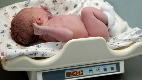 Berat Badan Ideal Bayi Laki-laki Usia 0-12 Bulan