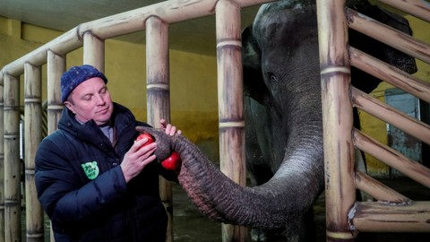 Foto: Nasib Kebun Binatang Kiev di Tengah Invasi Rusia ke Ukraina