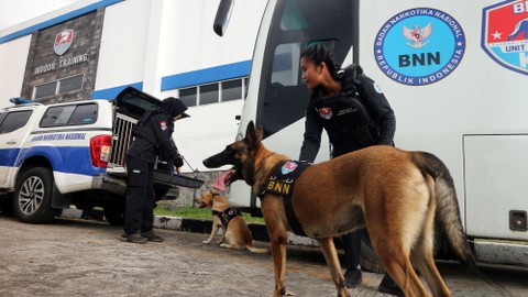 Foto: Aksi Pelatih Perempuan Melatih Anjing Pelacak BNN