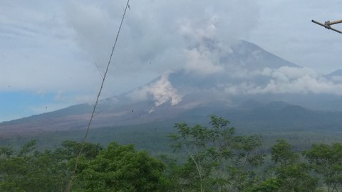 PVMBG Catat Gunung Semeru Erupsi Puluhan Kali dalam 3 Hari Terakhir