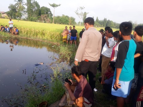 Mayat Wanita Muda Ditemukan Mengambang di Sawah Deli Serdang, Polisi Selidiki