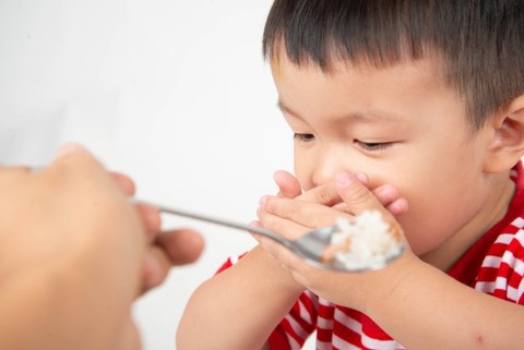 Resep Makanan Pengganti Nasi untuk Anak 2 Tahun