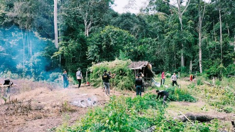 Cerita Polda DIY Ungkap 2 Hektar Ladang Ganja di Taman Nasional Leuser Aceh
