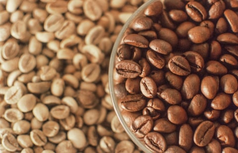 Ilustrasi biji kopi asal Indonesia Foto: Dok. Kemenparekraf