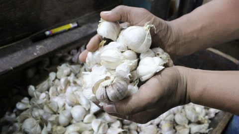 Bawang putih jenis kating asal Tiongkok yang dijual pedagang di Pasar Induk Kramat Jati Jakarta Timur. Foto: Antara/Devi Nindy