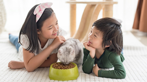 Anak Sedih Kehilangan Hewan Peliharaan, Harus Bagaimana?