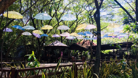 7 Fasilitas Yang Bisa Dinikmati Di Taman Wisata Alam Angke Kapuk