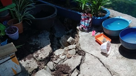 Kerusakan di rumah warga akibat gempa di Seram Utara, Maluku Tengah, Kamis (4/11). Foto: Dok. Istimewa
