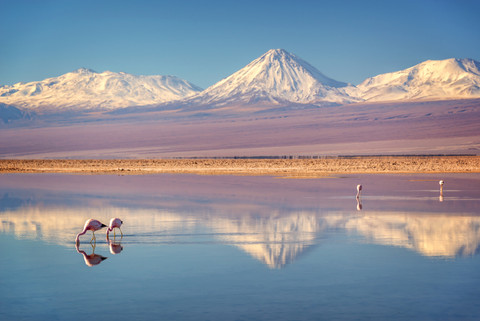 Gurun Atacama, Chili Utara Foto: Shutterstock