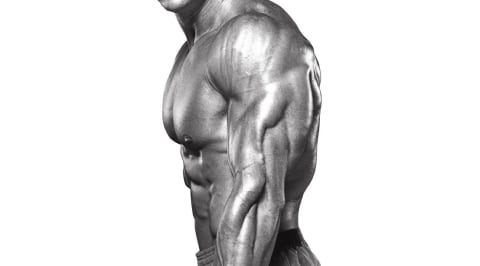 4 Otot Tubuh Yang Biasa Dilatih Saat Berolahraga Di Gym Kumparan Com