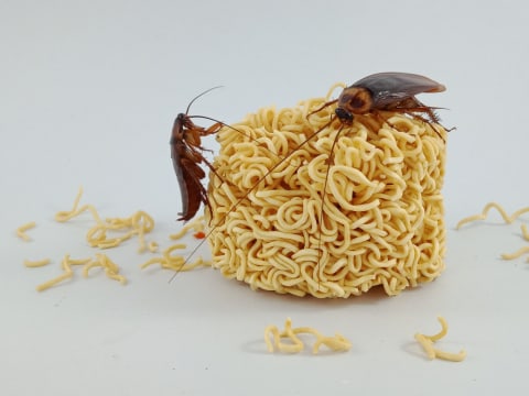 Ilustrasi Mi Kecoak Foto: Shutterstock/Gohang