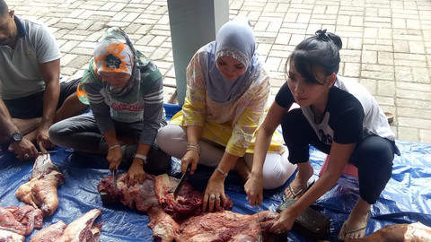 Ayu Ting Ting berkurban.  Foto: DN. Mustika Sari/kumparan