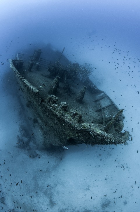 Bangkai kapal Titanic. Foto: Shutter Stock