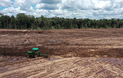 Traktor terlihat saat mengolah tanah untuk tanaman singkong di areal lumbung pangan nasional 'food estate' di Tewai Baru, Kabupaten Gunung Mas, Kalimantan Tengah. Foto: Makna Zaezar/Antara Foto
