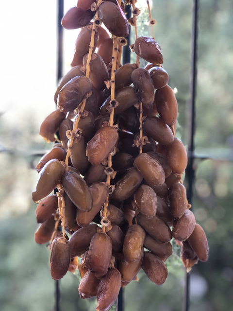 Negeri Gemar Salam (2)