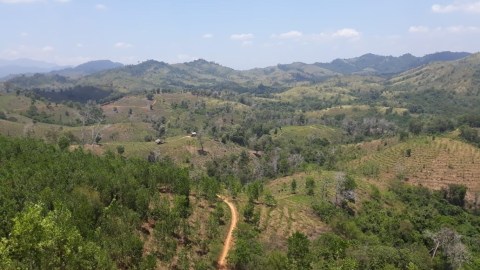 Kawasan hutan yang dimanfaatkan petani Desa Tiwingan Lama, Banjarmasin, Kalimantan Selatan, Selasa (25/9/2018). Foto: Ema Fitriyani/kumparan