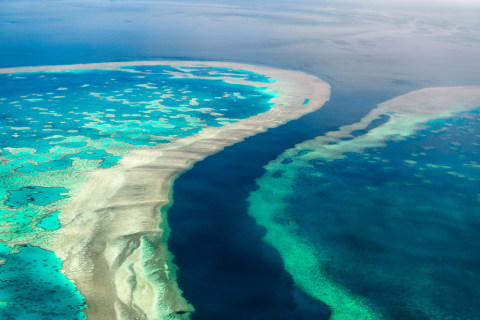 Keindahan Great Barrier Reef, terumbu karang terbesar di Australia Foto: Shutter Stock