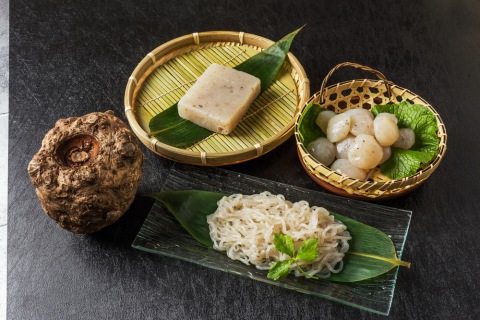 Tanaman konjac untuk membuat shirataki Foto: Shutterstock