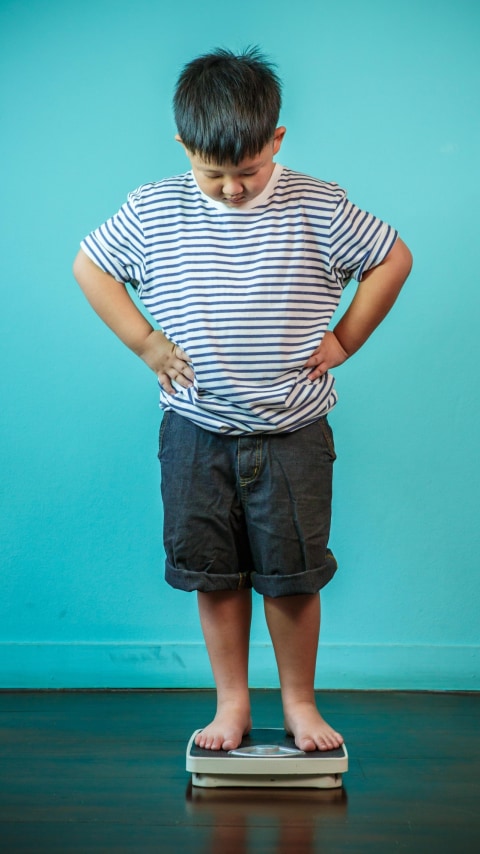 Ilustrasi anak gemuk menimbang berat badan. Foto: Shutter Stock