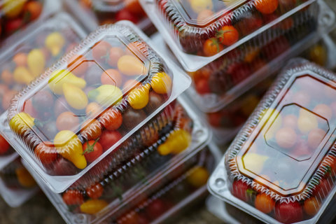 Ilustrasi sayuran dalam kemasan plastik. Foto: Shutter Stock