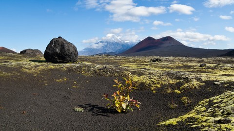 Valley of Death, tempat paling berbahaya di dunia yang telan banyak nyawa Foto: Shutterstock/PhotoMagus