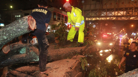 Hujan Deras Disertai Angin Kencang di Jaksel: Pohon Tumbang Timpa Kabel PLN
