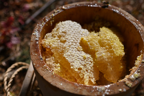 Peternak lebah Ildar Yagafarov memanen madu dari sarang pohon di dekat desa Novomunasipovo di Republik Bashkortostan, Rusia.  Foto: Alexey Malgavko/REUTERS