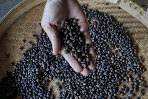 Hasil kopi yang sudah di roasting. Foto: Helmi Afandi Abdullah/kumparan