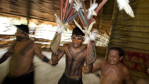 Ritual Kedewasaan Suku Pedalaman  Amazon Bertahan dari 