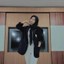 Putri Riza Febriana Aurellia