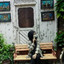 Ellisa Nur Arifah
