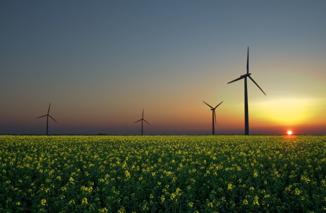 Energi alternatif menggunakan angin (Foto: Wikimedia)