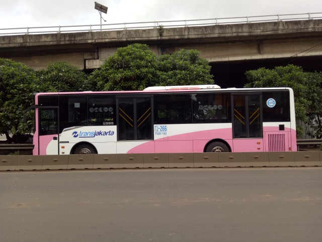 Sebuah bus TransJ khusus perempuan sedang melaju di 3 koridor yang ada di Jakarta (Foto: Sarah Pediwi)