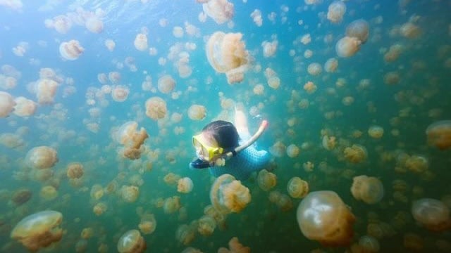 Di pulau Derawan, tinggalnya penyu-penyu laut. (Foto: Instagram @ezytravel )