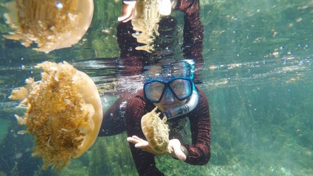 Pulau Sembilan. Disini, kamu bisa ketemu ubur-ubur (Foto: Instagram @betadiosylvar)